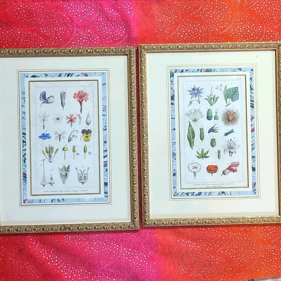Vintage Other - Botanical Prints